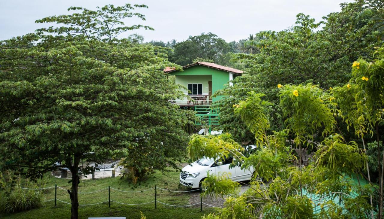 The Midway Jungle Resort Masinagudi Exteriör bild